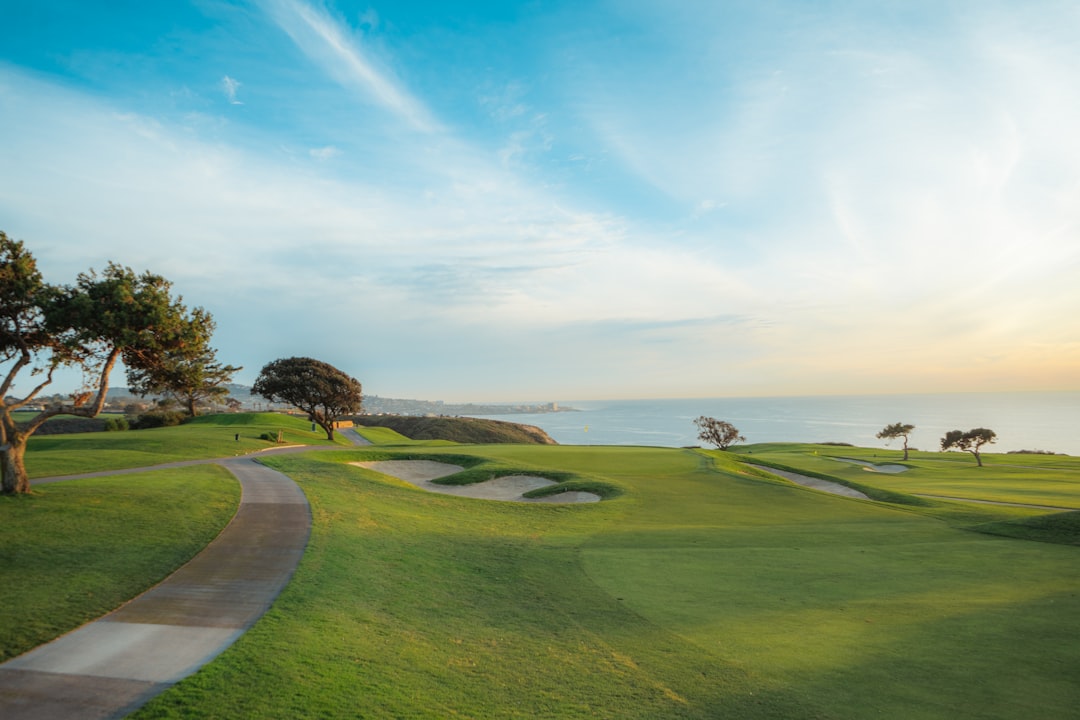 Golf and residential properties in Nueva Andalucía, Marbella — popular with international mortgage buyers